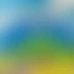 パコ絵画教室の作品