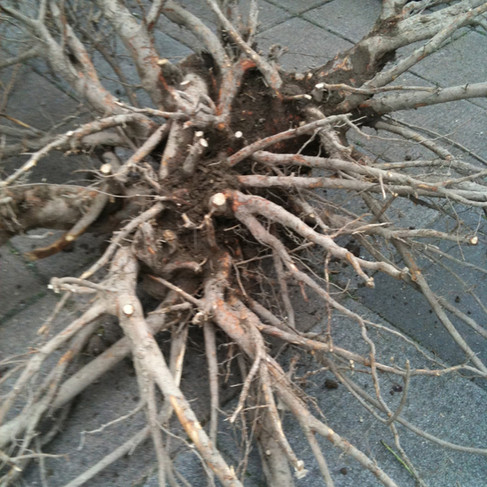 工事中のパコの階段辺り。