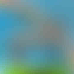 パコ絵画教室の作品