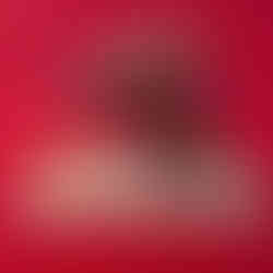 パコ絵画教室の生徒作品