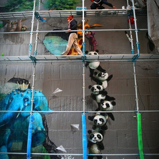 パンダの肩車タワーと原田