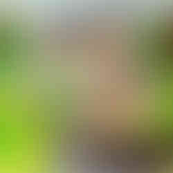 パコ絵画教室の作品