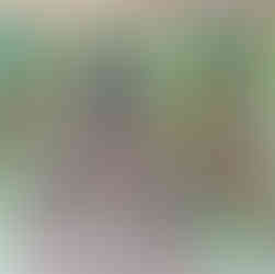 パコ絵画教室の作品