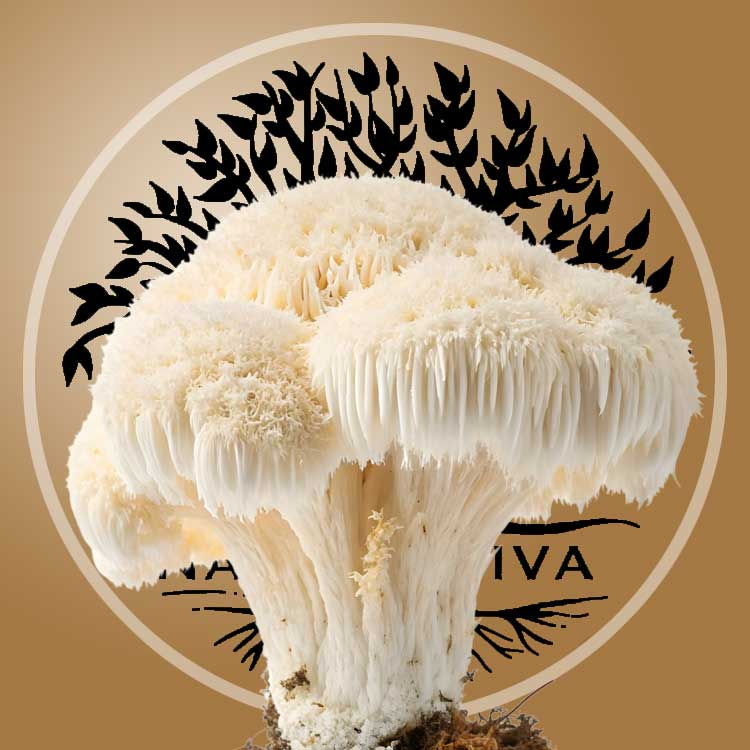 Pure Lions Mane