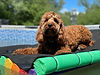 IMG_6654.jpeg