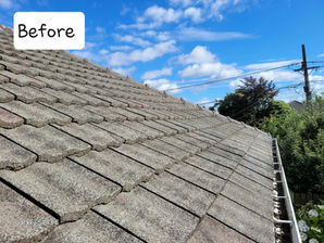 Roof surface with visible faded tiles before repainting.
