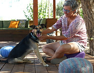 P1005228_edited.jpg