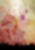 3. From Chaos to Flow 300 DPI.jpg