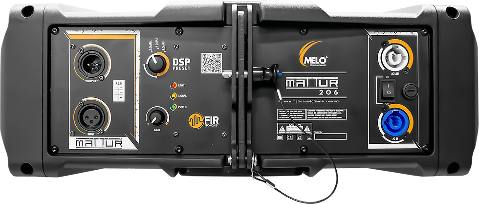 Miniatura: MATTUR206