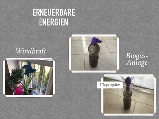 Experimentieren in der eigenen Küche