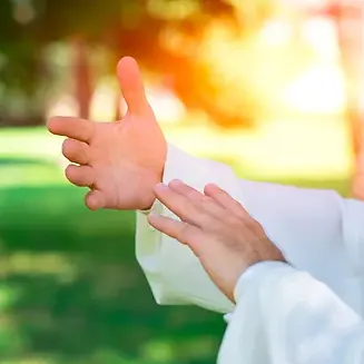 tai-chi-chuan-hands.webp