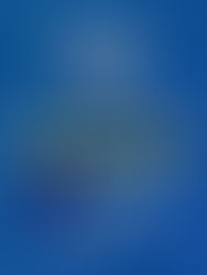 Nota máxima: Secretariado