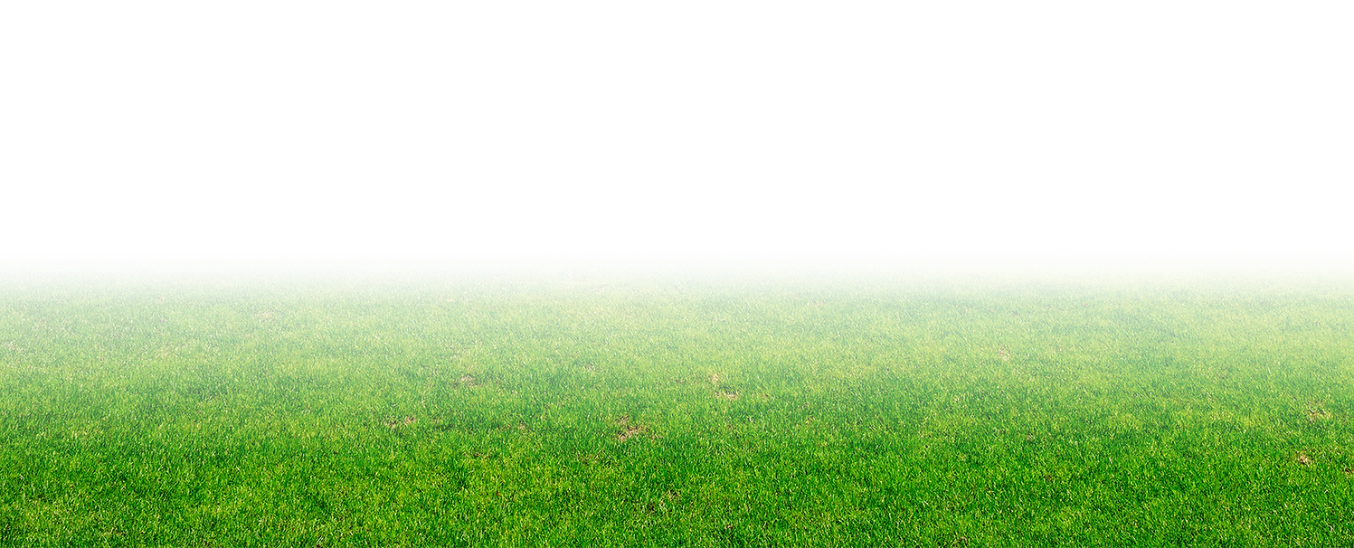 rasen.png