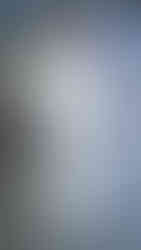 NDEED REGIME designs 2026