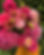 23E824AB-84D9-4D64-ADDE-569200D06131.jpg