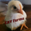 Thumbnail: (12) Pearl White Leghorn Hatching Eggs