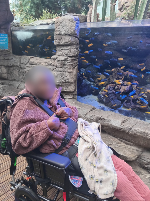 Lady in pink visits Bristol aquarium out in the community