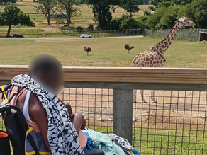 Supporting a lady to visit the Giraffes at Longleat
