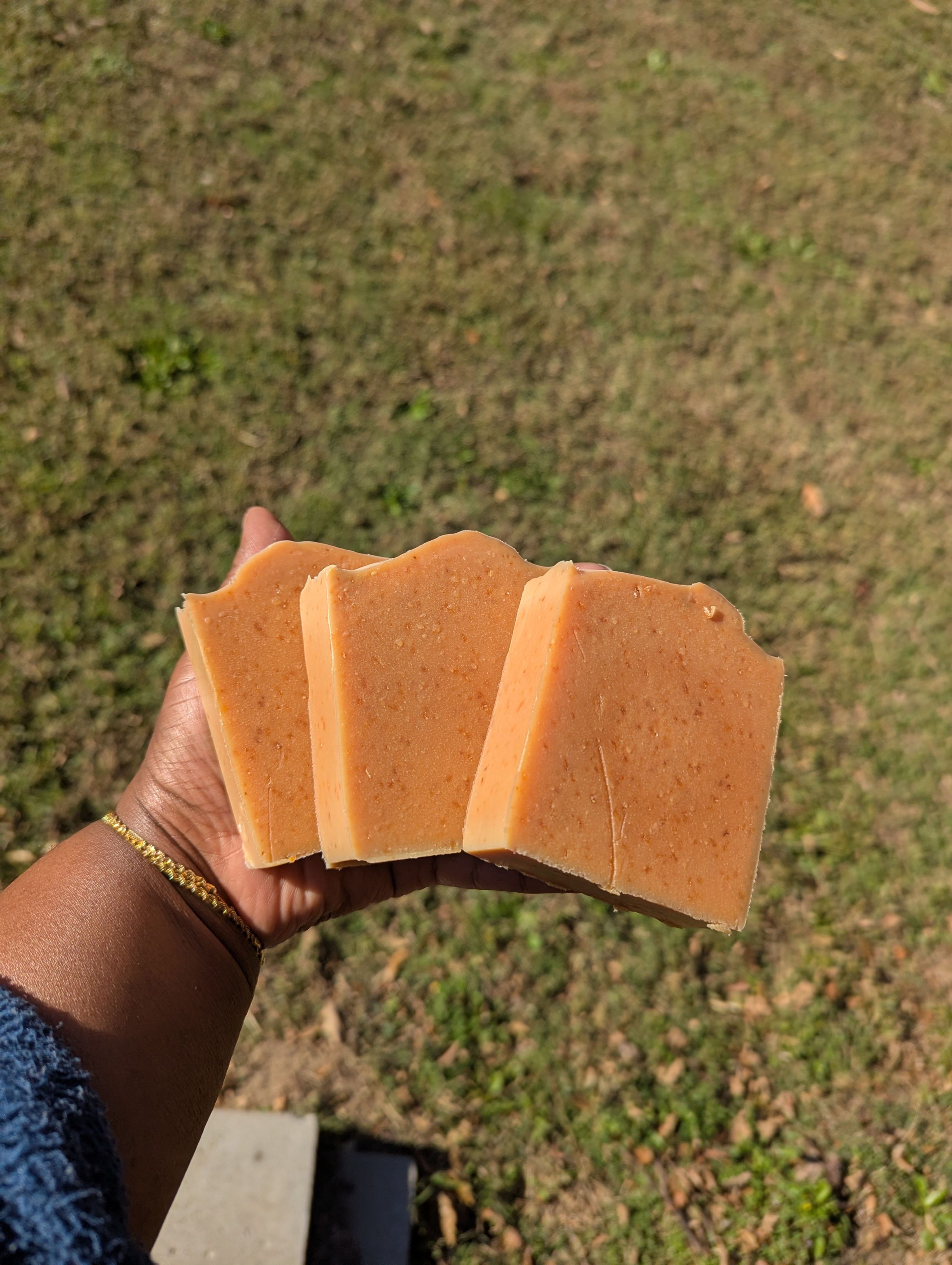 Pumpkin Oats and Honey Soap