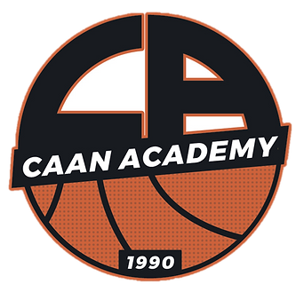 log baslet_edited.png