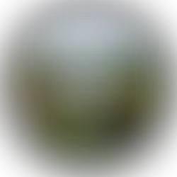 Argentina's 12 UNESCO Sites: Iguazú, Los Glaciares & More