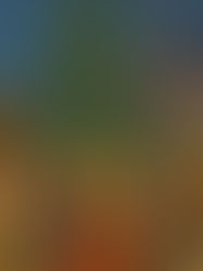 When “Worldschooling” Becomes Real: What Families Are Learning on the Road