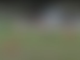 Παοκ Σταυρού-Καμπανιακός (highlights)