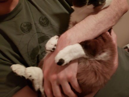 Miller March 2026 Monthly Update