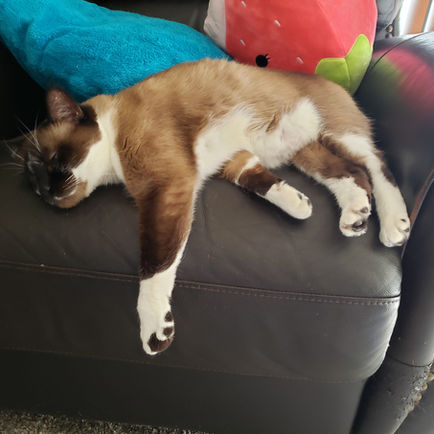 Miller February 2026 Monthly Update