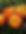 20230606_155536.jpg