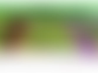 ¿Como identificar a un Distribuidor Autorizado?
