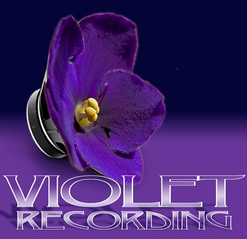 Violet Logo PNG_edited.png