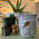 Thumbnail: **SOLD** Dreams and New Beginnings Mug