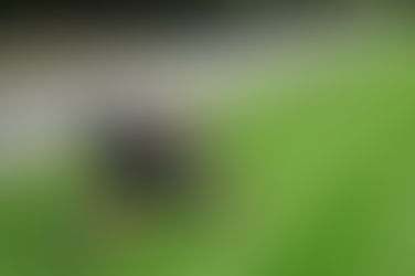 This is your second post