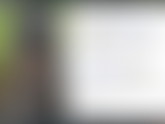 Studying the Vertical Stratification of the Rainforest in Costa Rica