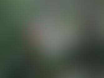 Why Hongkongers should embrace nature and city’s great outdoors, says forest therapy guide Jasmine