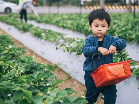 China steps up its “Double Reduction”, pushing schoolchildren to brush up on their life skills