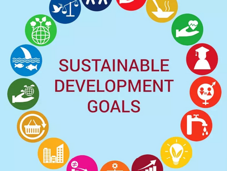 Can impact investing address India’s SDG financing gap?