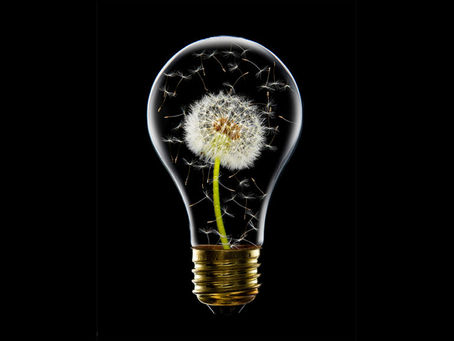 Why Constraints Are Good for Innovation