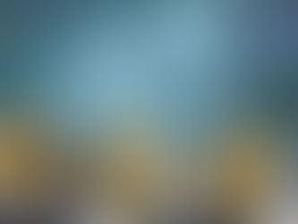 View: What the crypto crowd doesn’t understand about economics