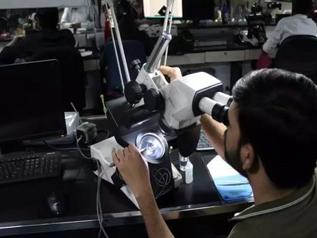 Shining bright: Why Indian exports of lab grown diamonds have risen six-fold in three years