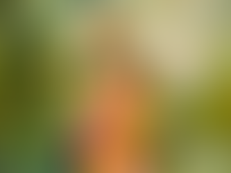 Think Lakshmi Signifies Only Riches? Welcome To The Hindu Concept Of Abundance