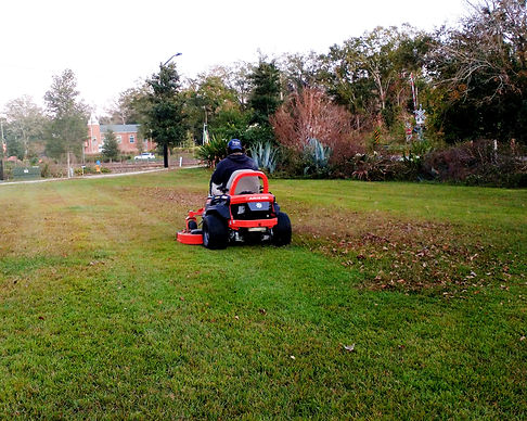 IMG_20211124_174053126_BURST007_2_edited.jpg