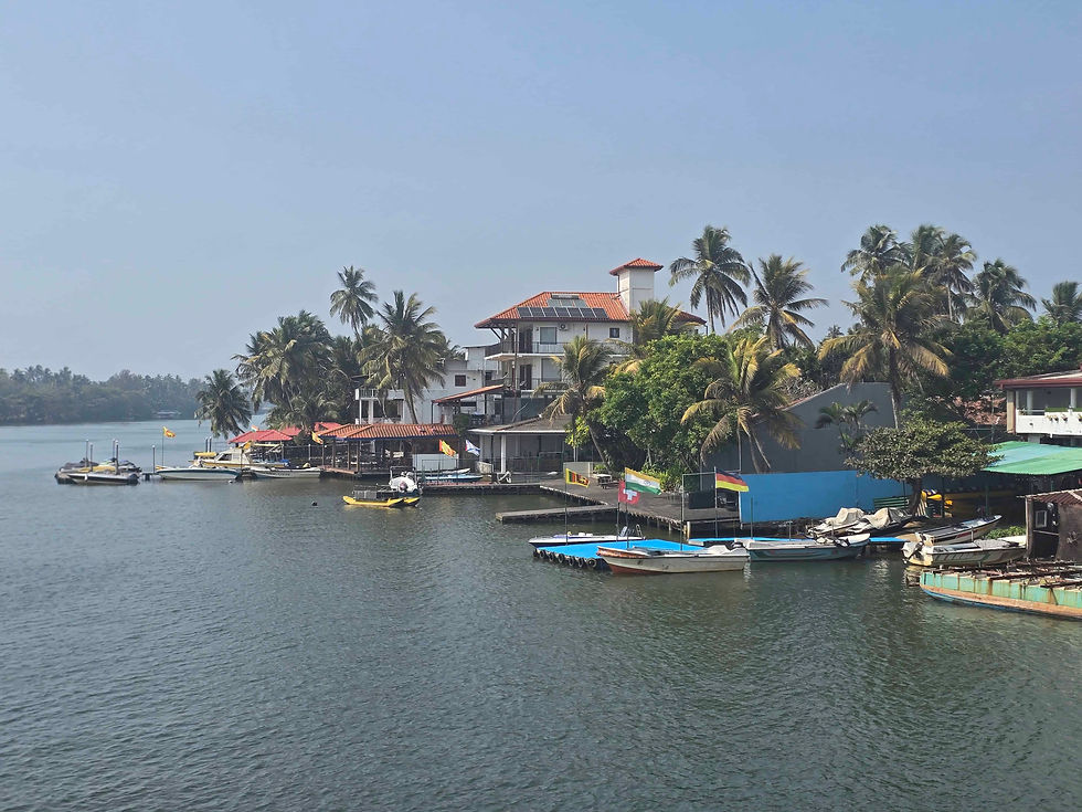 View from our River Safari Tour