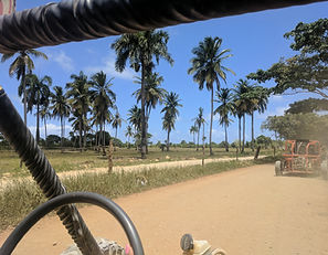 Dominican Republic - Punta Cana