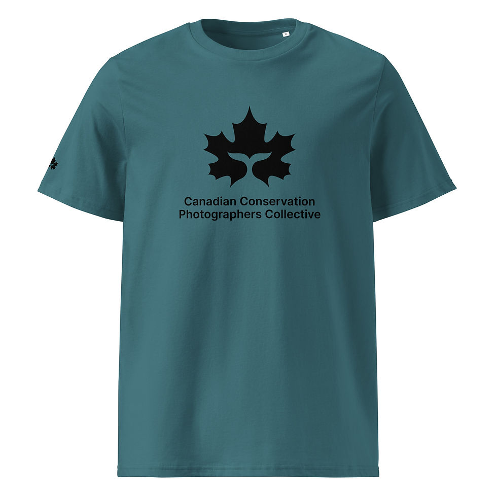 Thumbnail: CCPC unisex organic cotton t-shirt - light colours