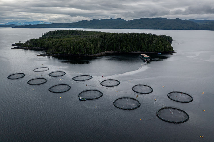 A coastal fish farm.