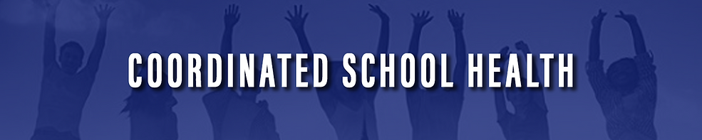 WEBSITE SCHOOL BANNER - csh.png