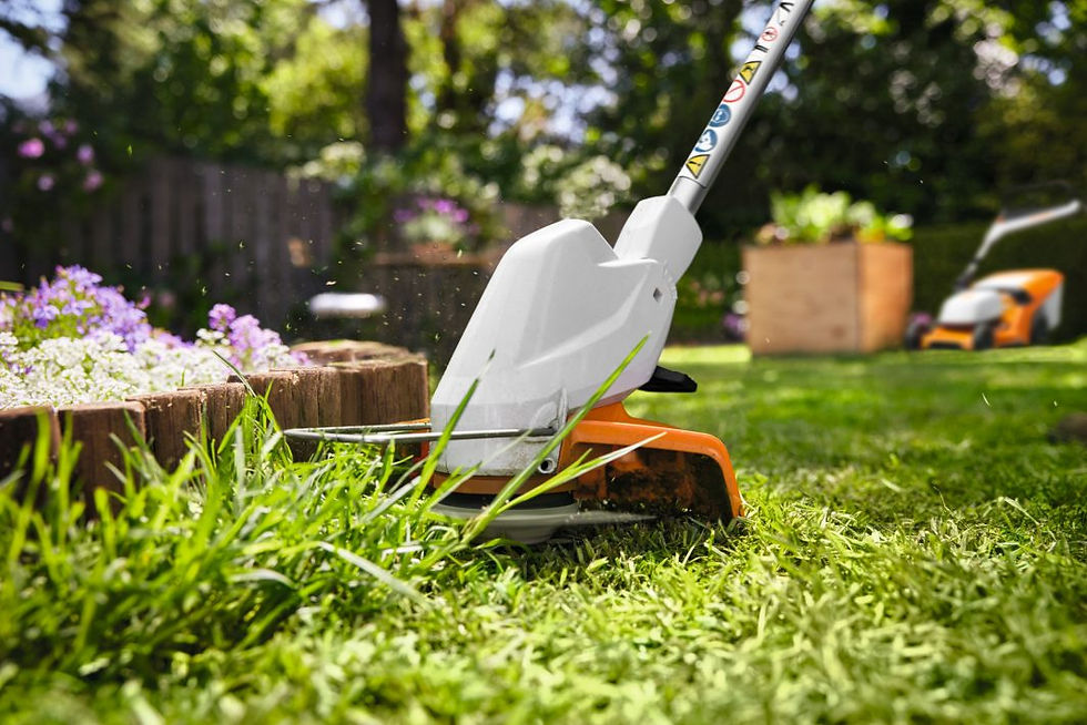 Thumbnail: Stihl FSA 30 Grass Trimmer
