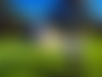 Estágio de Verão de JOGO DO PAU 2026